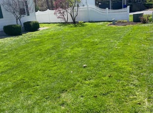 Jonathan H.'s lawn maintenance service result