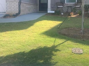 Julia W.'s turf care service result