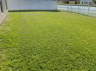 Nancy L.'s grass cutting service result