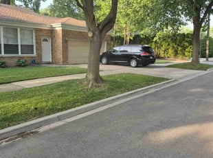 Ana B.'s yard care service result