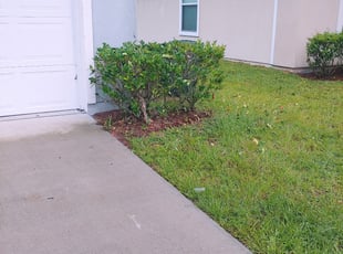 Margaret T.'s Bush Trimming service result