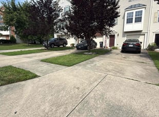 Brian B.'s Flower Bed Weeding service result