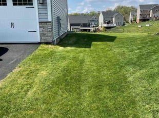 David F.'s lawn care service result