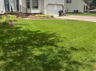 Jina O.'s lawn care services service result