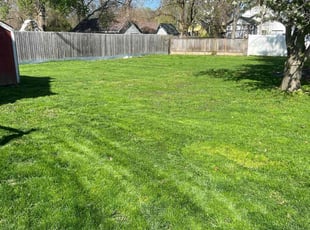 Tricia K.'s lawn maintenance service result
