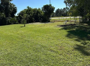 Brandon S.'s turf maintenance service result