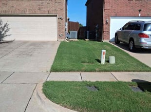 Therese M.'s turf maintenance service result