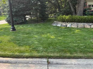 Juan T.'s turf maintenance service result