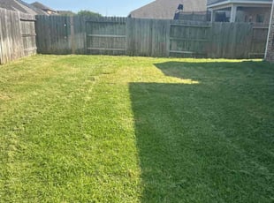 Max G.'s lawn care services service result