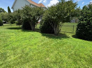 Stefanie H.'s turf care service result