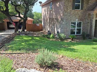 Dennis L.'s lawn care service result