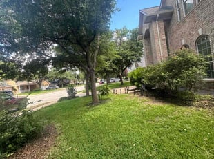 Larry H.'s turf maintenance service result