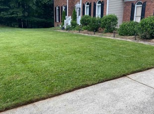 Mary E.'s lawn maintenance service result