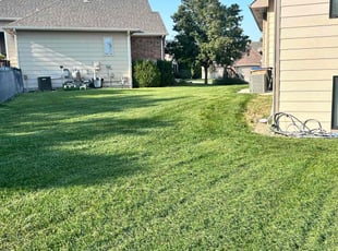 Heath B.'s grass maintenance service result