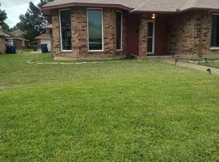Jackie M.'s turf maintenance service result
