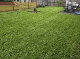 Omega T.'s grass maintenance service result