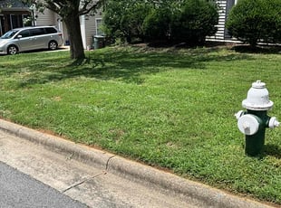 Peter D.'s grass maintenance service result