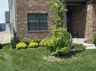 Melvin R.'s turf care service result