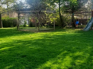 Mary S.'s lawn care service result