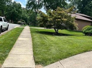 Bonita A.'s turf care service result