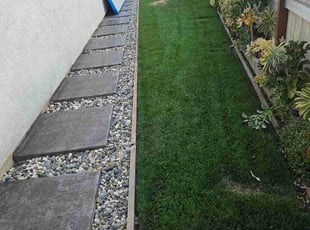Alyssa D.'s grass maintenance service result