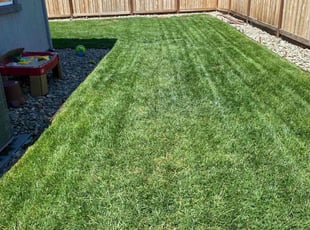Altonette M.'s turf care service result
