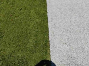 Shellise C.'s lawn care services service result