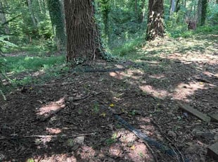 Tyler W.'s lawn maintenance service result