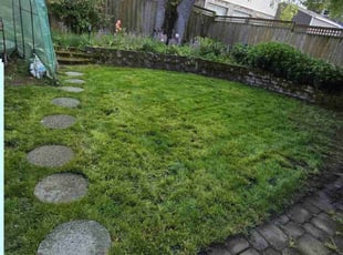 Tim N.'s lawn care service result