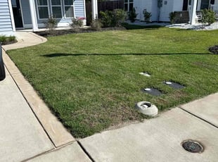 Lakshmi N.'s lawn care services service result