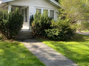 Luis H.'s turf maintenance service result