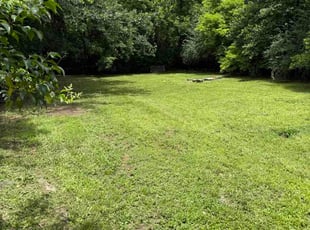 Gregory N.'s grass cutting service result