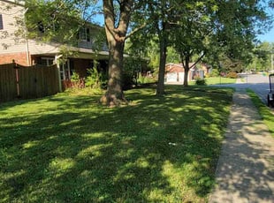 Doug L.'s turf maintenance service result