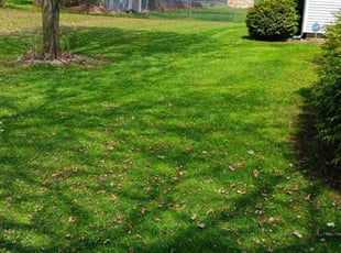 Joan L.'s lawn care services service result