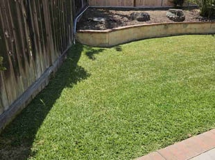 Donna B.'s turf maintenance service result