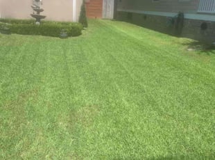 Jermaine M.'s turf care service result
