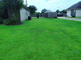 Lawrence T.'s lawn service service result