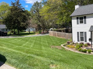 Mollie P.'s lawn maintenance service result