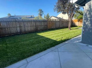 Jeremy C.'s grass maintenance service result