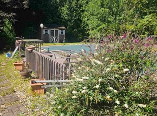 Anthony N.'s lawn maintenance service result