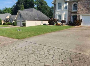 Andre D.'s grass maintenance service result