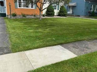 Bruce W.'s lawn care services service result
