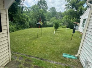 Nina M.'s lawn maintenance service result