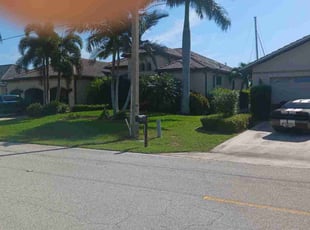 Deborah H.'s turf care service result