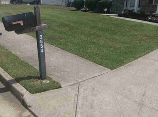 Rick M.'s turf care service result