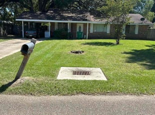 Micheal P.'s lawn care service result