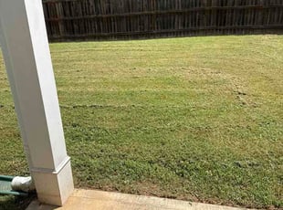 Stephanie P.'s grass cutting service result