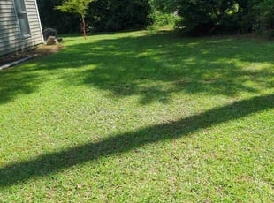 Rima S.'s lawn service service result