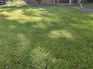 Gail G.'s lawn care services service result