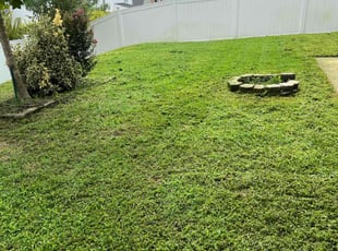 Ricardo B.'s turf care service result